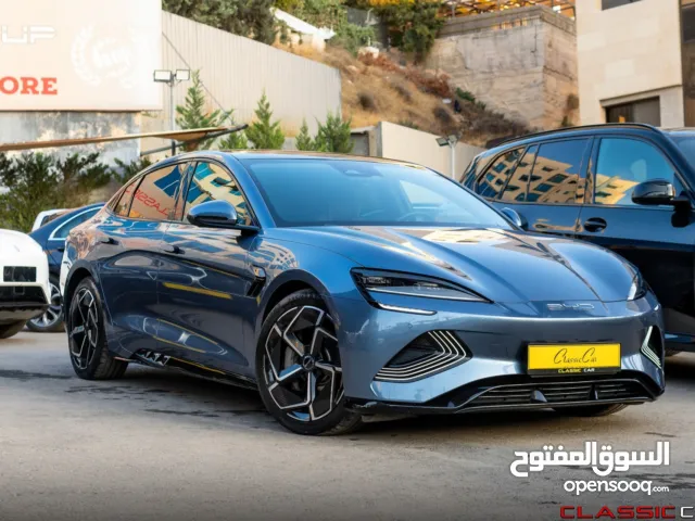 2023, بي واي دي, سيل