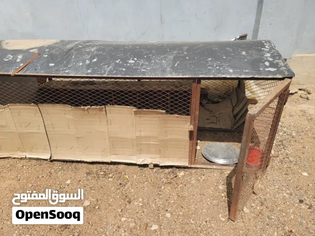 قفص دجاج او اي شي تستخدمه لتخزين