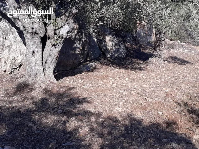 ارض للبيع تحت جسر اسكاكا حوض السهل