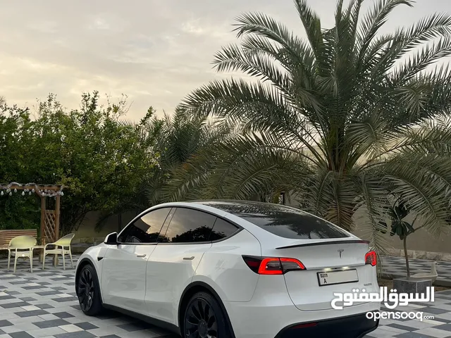 2023 Tesla model Y performance
