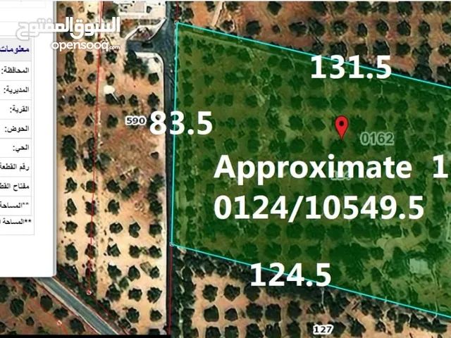 Farm Land for Sale in Amman Naour