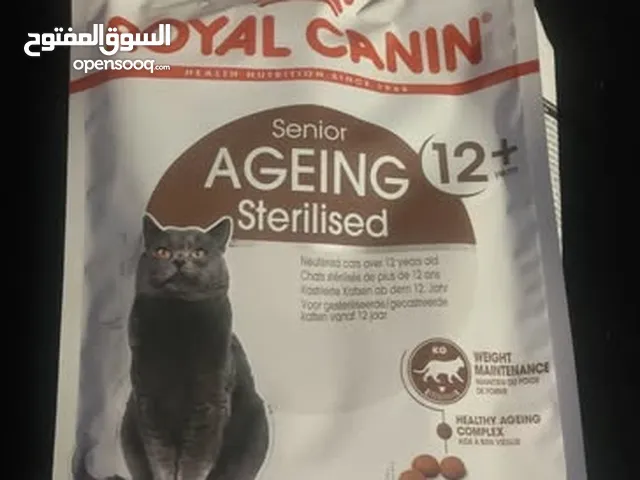 رويال كانين طعام جاف للقطط الكبيرة من سن 12 سنة او أكثر Royal canine sterilized 12+ senior