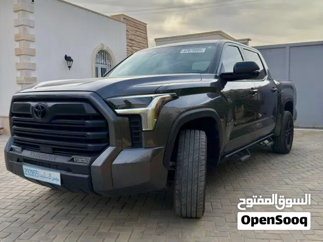 تندرا 2024  شبه صفار ..