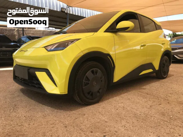 2023 بي واي دي سيجول
