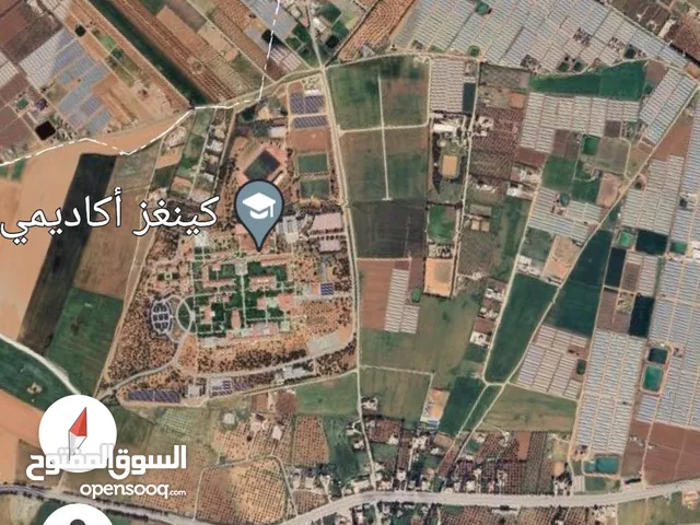 4 دونم جنوب عمان منجا طاسان جنب الكنجز اكاديمي