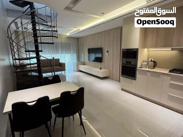 شقة luxury مفروشة شارع السفارة الاميركية مع رووف