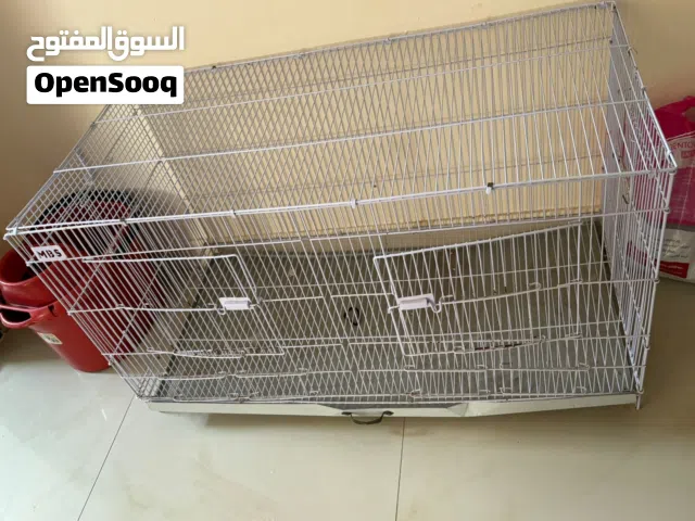 اكسسوارات حيوانات