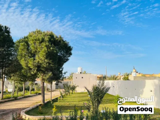 Farm Land for Sale in Tripoli Tajura