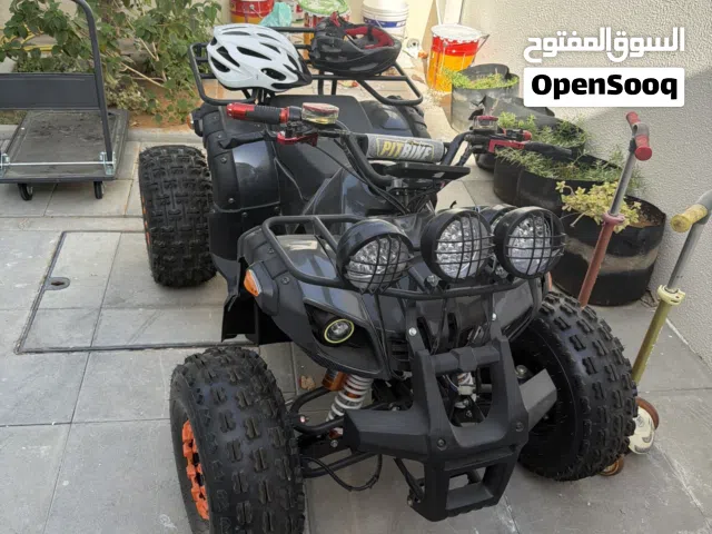 electric bicycle
