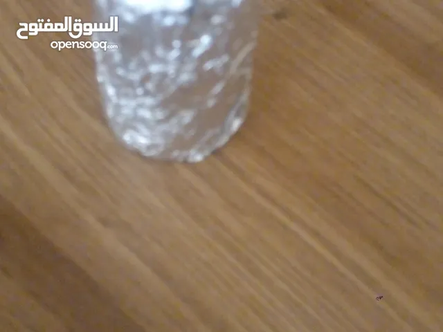 كزيوني للاهل الخبره زيباق فضي طبيعي