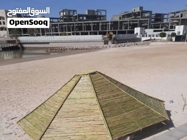 معرشات قصيب