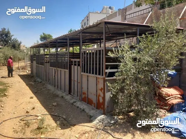 غرف خيل حديد