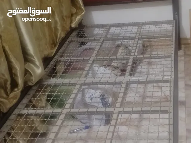سرير حديد نفر واحد مودرن مع دواليب حديد عدد 2