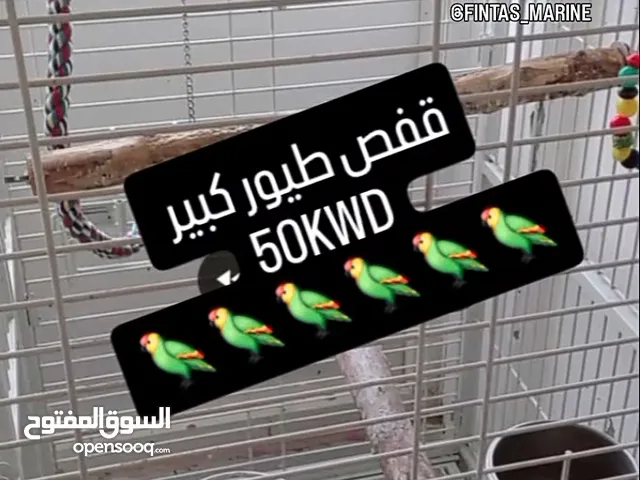 قفص طيور كبير