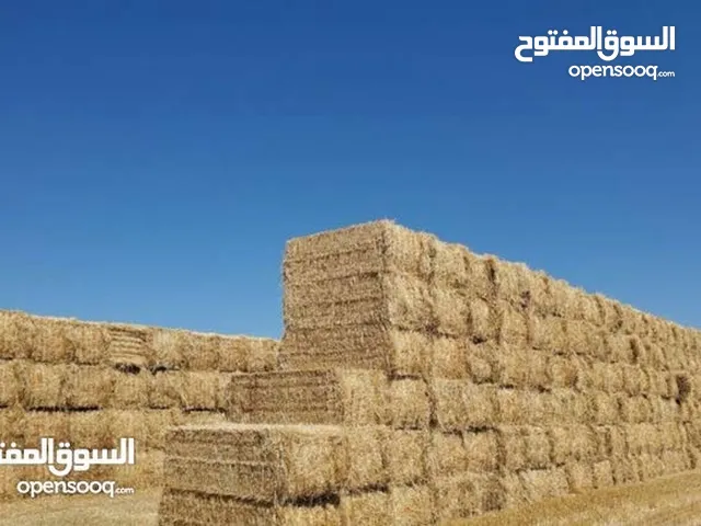 علف الحيوانات الزراعية للأبقار والماعز والجمال