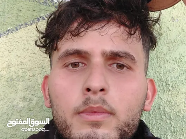 مهند أحمد