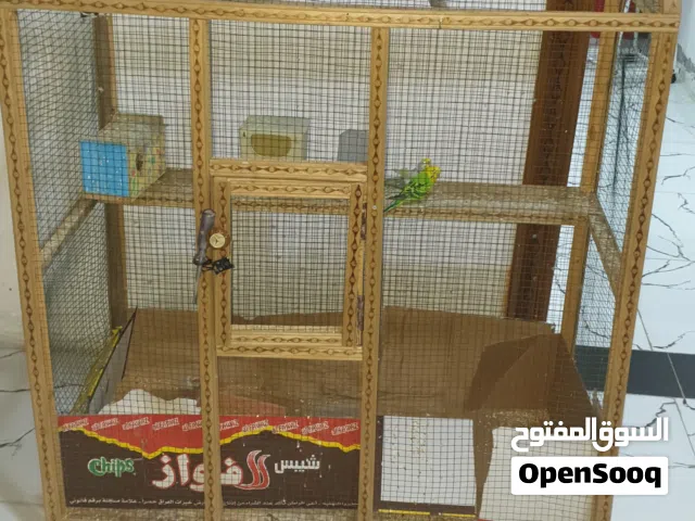قفص طيور  للبيع  متكون 5فناجس وا اثنين2 طيور حب