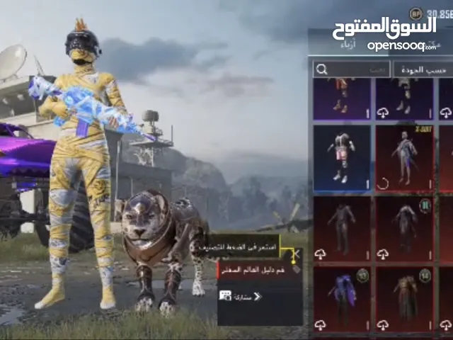 حساب ببجي قوي للبيع