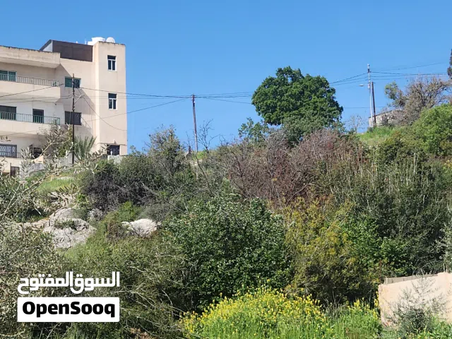 Residential Land for Sale in Amman Bilal