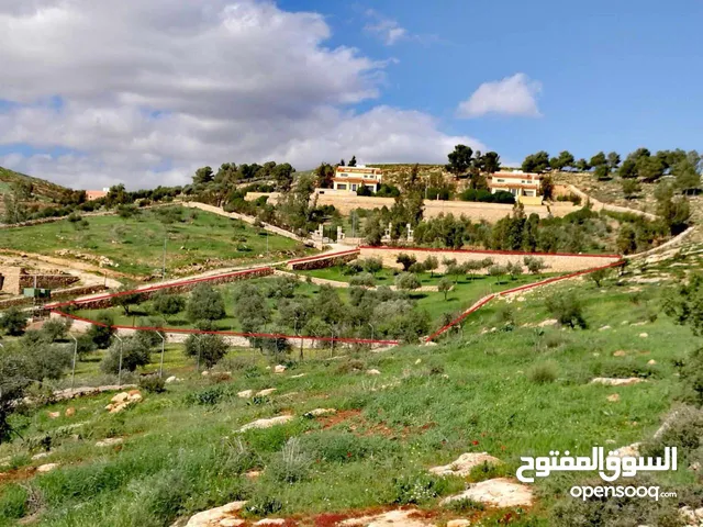 Farm Land for Sale in Jerash Al-Kittah