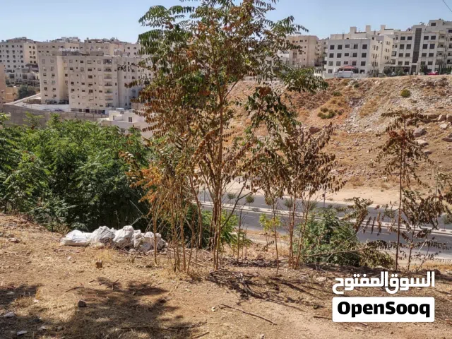 Residential Land for Sale in Amman Al Kursi