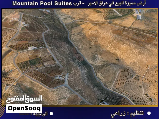 Farm Land for Sale in Amman Iraq Al Ameer