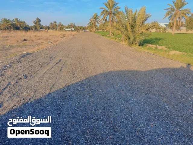 دونم زراعي