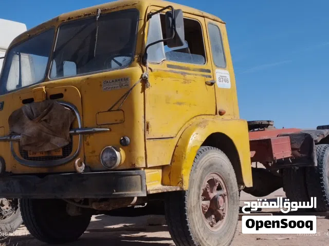 راس طانطا  ف حاله جيده