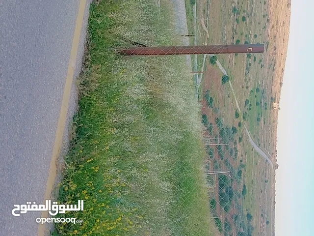 قطعة أرض مميزه نادره محافظة المفرق