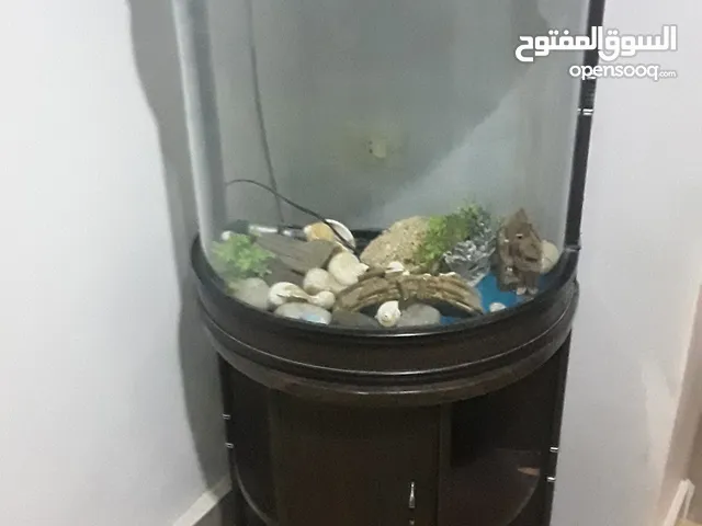 سلام عليكم اتاث حوض  سمك