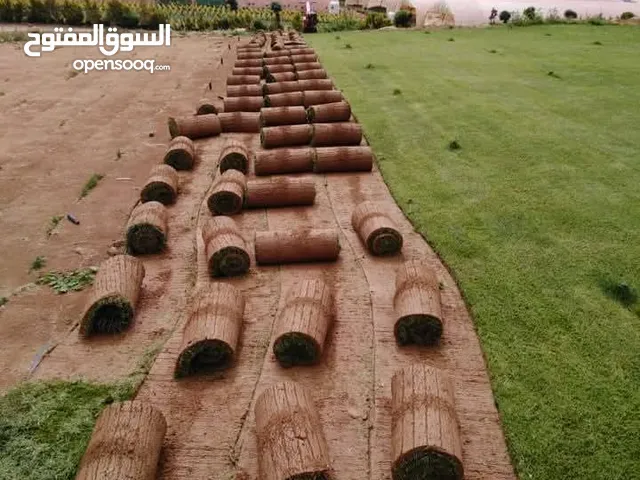 نجيل طبيعي نجيل صناعي ونجيل ديكوندرا