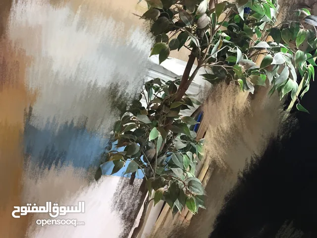 شجره خضراء اصطناعي مستعمله للبيع