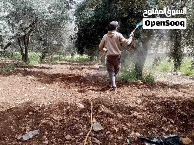 تقديم على الوضايف