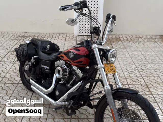 2010 Harley Davidson Other