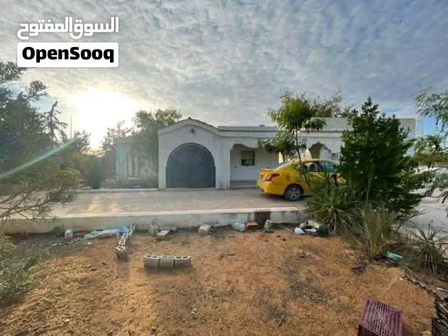 Farm Land for Sale in Tripoli Wadi Al-Rabi