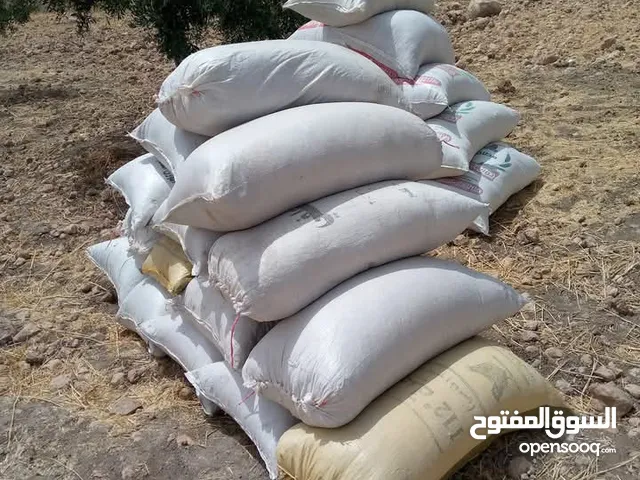 تبن للبيع بالصلاه على النبي