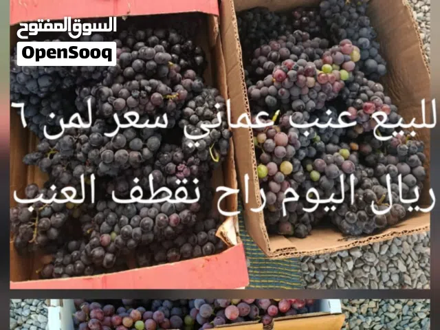 عنب عماني للبيع