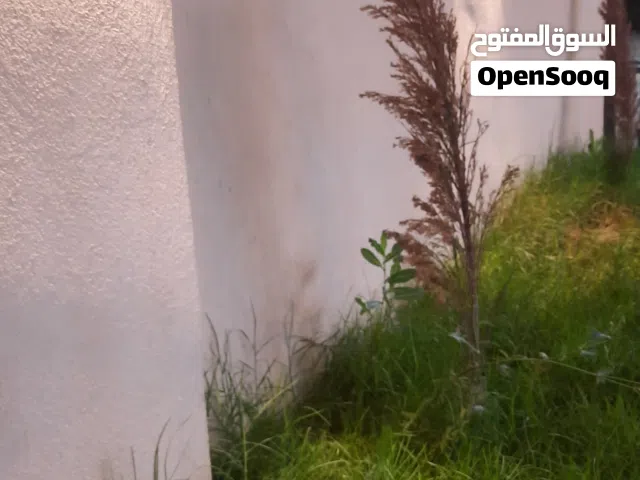 قطعة للبيع 1500متر موقع فوق الممتاز تاني قطعة من الطريق كوبري الفروسية اتجاهك المطار تاني شارع يمين