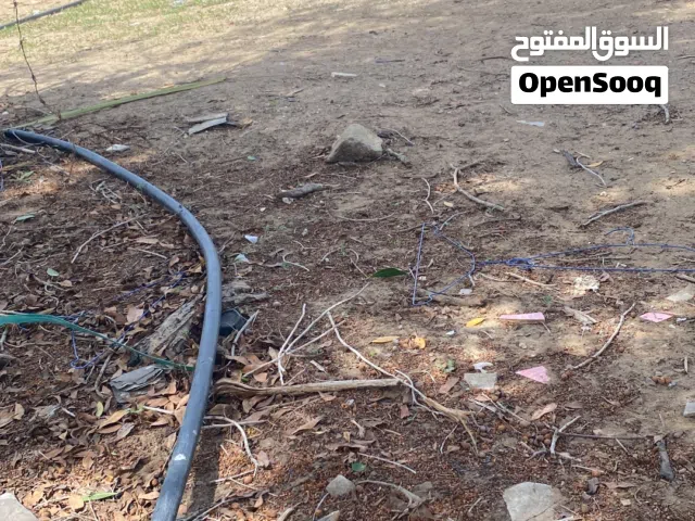 Mixed Use Land for Rent in Al Batinah Barka