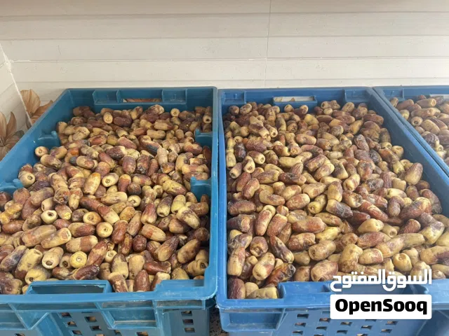 تمر نغال حبة محقب كبيرة