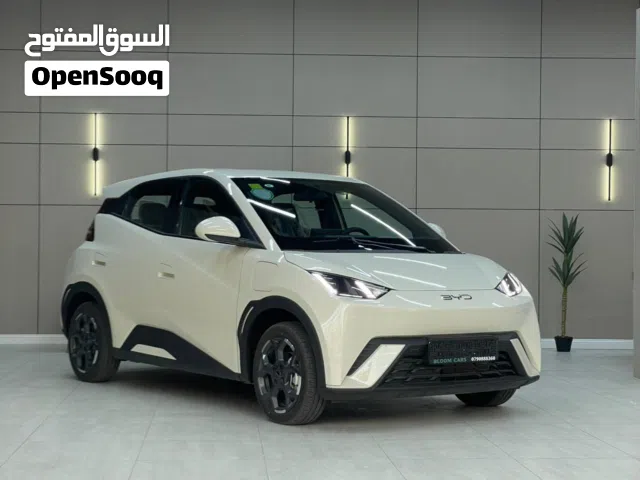 2024 BYD Seagull