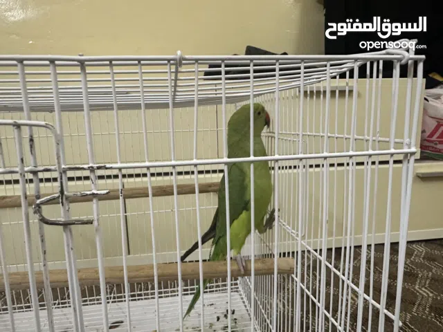 متو للبيع مع القفص ب 27 وقابل