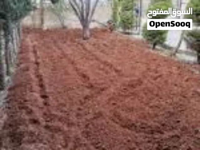 نكاشه حدائق