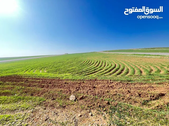 Commercial Land for Sale in Amman Hai Nazzal