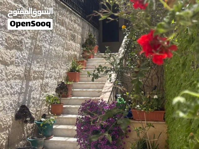 Furnished Monthly in Amman University Street