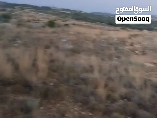 ارض للبيع في دير عمار مساحه 800 م كوشان طاب وسلطه صالحه للبناء السعر 30 الف دينار