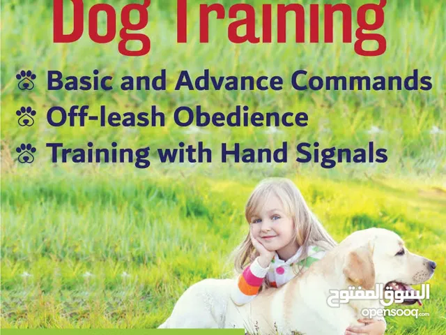 dogs training basic and advanced تدريب الكلاب الأساسي والمتقدم