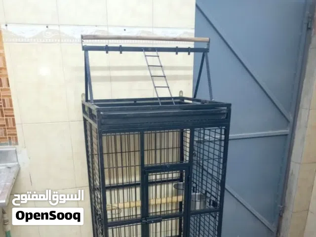 قفص حديد مكاو كاسكو كوكاتو يرهم