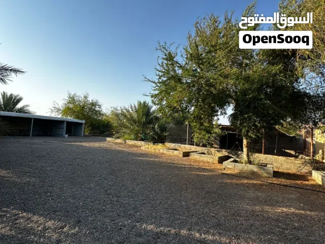 Farm Land for Sale in Buraimi Mahdah