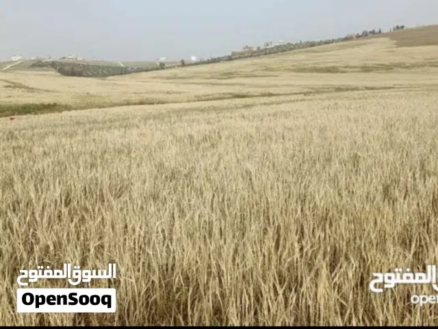 Residential Land for Sale in Amman Salem